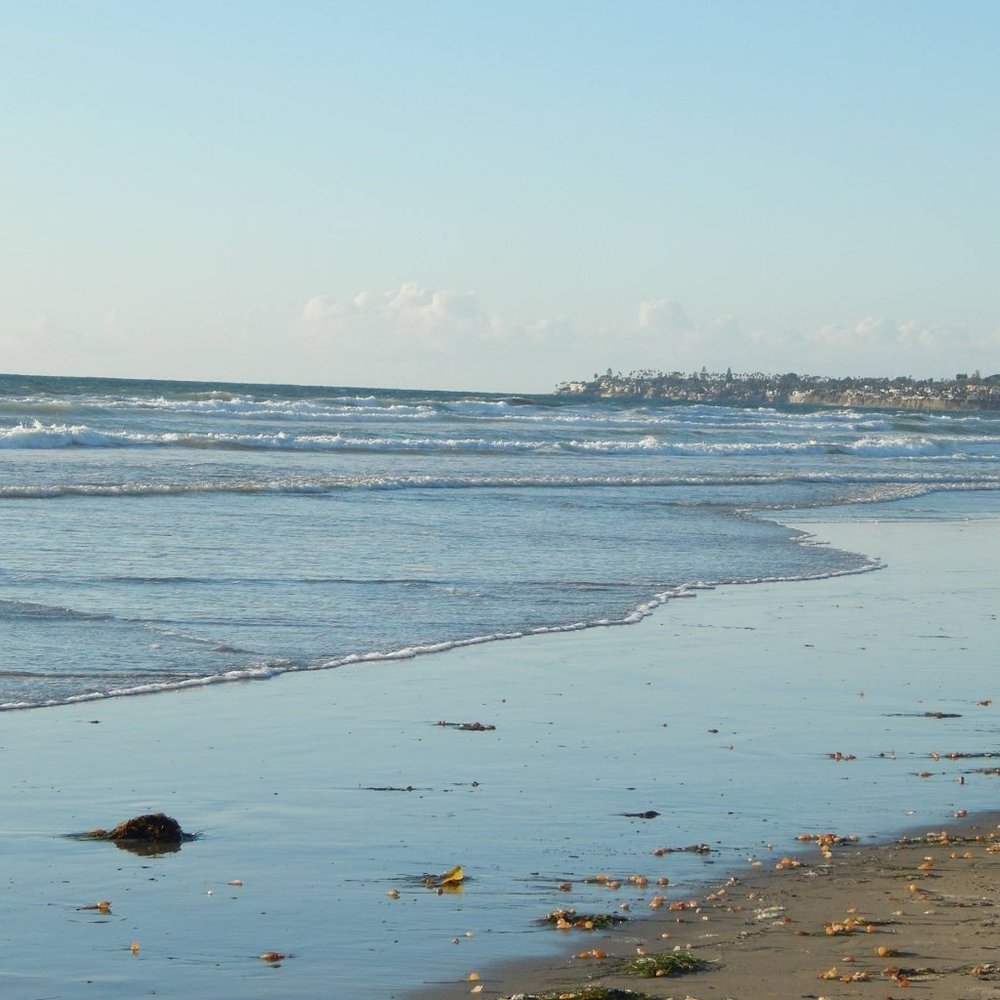 Meet your Posher, Leah!